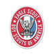Eagle scout badge mc