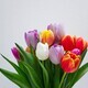 Timo c dinger 43m51fryg88 unsplash